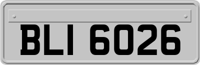 BLI6026