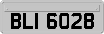 BLI6028