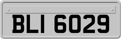 BLI6029