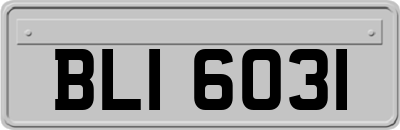 BLI6031