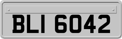 BLI6042