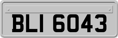 BLI6043