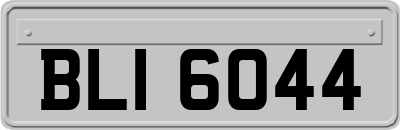BLI6044