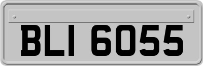 BLI6055
