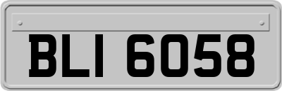BLI6058