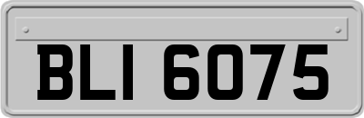 BLI6075