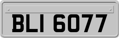BLI6077