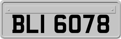 BLI6078