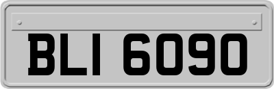 BLI6090