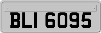 BLI6095