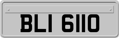 BLI6110