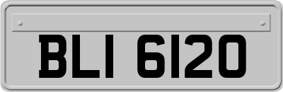 BLI6120