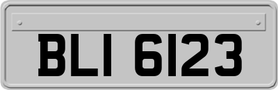 BLI6123