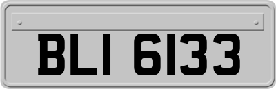 BLI6133