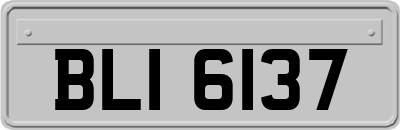 BLI6137