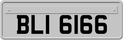 BLI6166