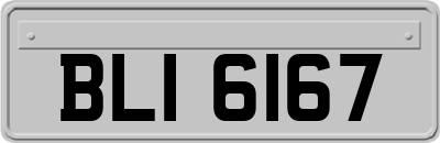 BLI6167