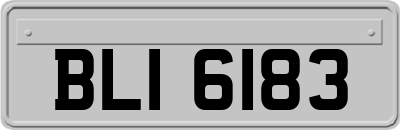 BLI6183