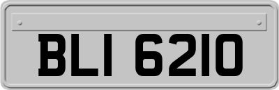 BLI6210