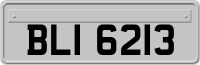BLI6213
