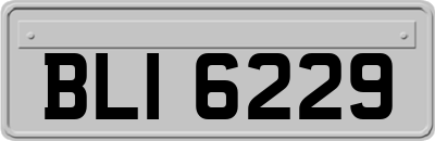 BLI6229