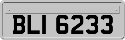 BLI6233