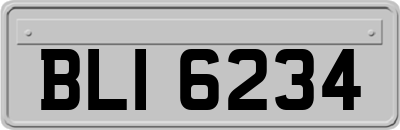 BLI6234
