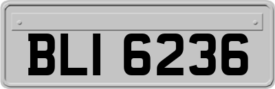 BLI6236