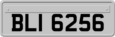 BLI6256