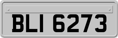 BLI6273