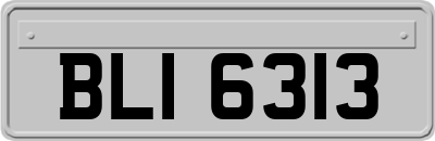 BLI6313