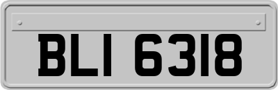 BLI6318