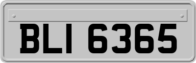 BLI6365