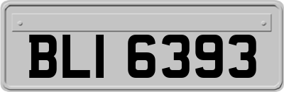 BLI6393