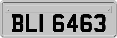 BLI6463