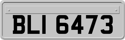 BLI6473