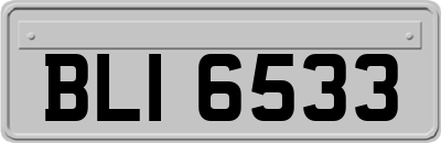 BLI6533