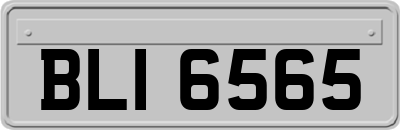 BLI6565
