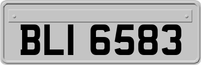 BLI6583