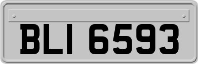 BLI6593
