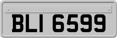 BLI6599