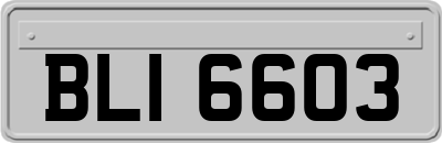 BLI6603