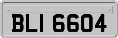 BLI6604