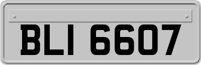 BLI6607