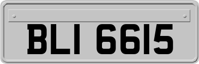 BLI6615