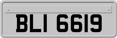 BLI6619