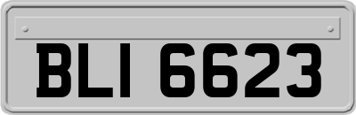 BLI6623