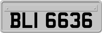 BLI6636