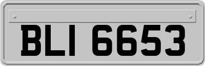 BLI6653