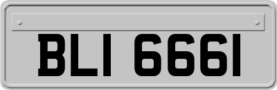 BLI6661